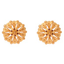 Shatadal Pasha Earrings - BRISHNI